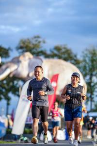 BIB: 
                            <button type="button" onclick="openModal(26541206)" class="btn btn-primary btn-sm float-right btn-popup" data-toggle="modal" data-target=".modal-high-quality">
                        <i class="fas fa-shopping-cart"></i> Add to Cart
                    </button>
                                            <button type="button" onclick="isThisMe(26541206, true)" class="btn btn-success btn-sm float-right btn-popup btn-isme hidden" data-toggle="tooltip" data-placement="bottom" title="นี่คือรูปของคุณใช่ไหม คลิกที่นี่เพื่อเอาเข้าอัลบั้ม">
                        <i class="fas fa-plus"></i> Add to album
                    </button>
                    <button type="button" onclick="isThisMe(26541206, false)" class="btn btn-warning btn-sm float-right btn-popup btn-isnotme hidden">
                        <i class="fas fa-ban"></i> Remove from album
                    </button>